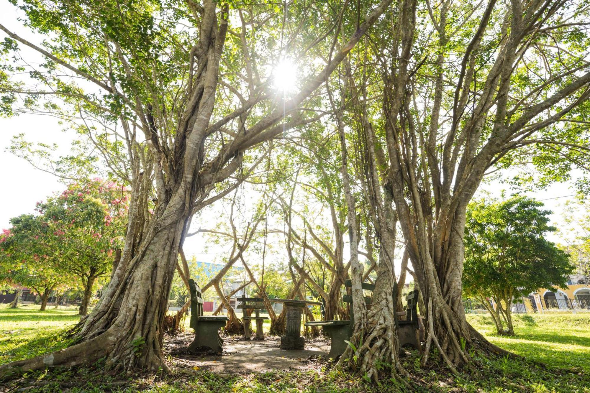 Summer House - Private Villa Close To International Airport Bia Ja-Ela Luaran gambar